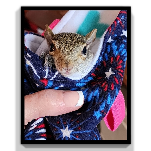 Posh Ambassador II ❤ - Picture 12 of 15